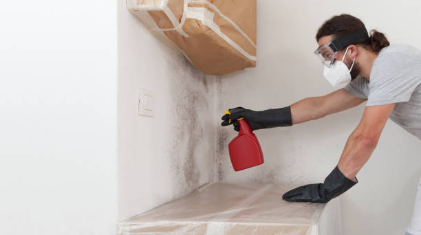 Professional Commercial Mold Remediation technician working in Frenchville, PA